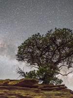 로드 오브 히어로즈,LOH