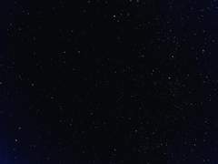 the next best thing.