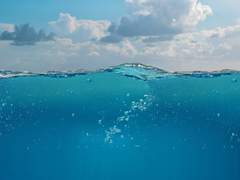 곰치의 사냥법 上