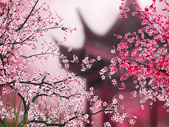 오국황조실록=설명장