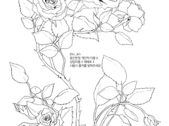 배경용 장미소재