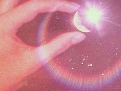 흐드러져가는 빛깔을 내 혀로 감싸쥐고 싶었다.