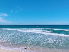 다솜 그린비 epilogue