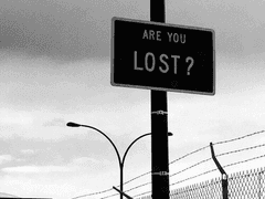 나의 사랑 나의 전부 나의 소나무에게