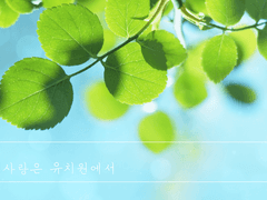 [록수알베] 첫사랑은 유치원에서