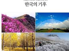 태원유진 계절&하반기 합작