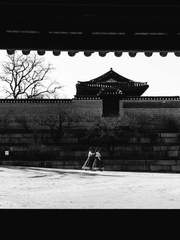 거울속에는소리가없소