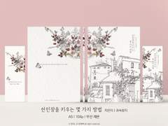 선인장을 키우는 몇 가지 방법