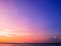 [여진시목] 황혼이 깃들다 上