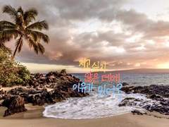 [글씨]히나타 쇼요