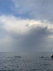 내가 사랑하는 사람들