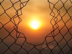 마에카와 히요리 / XX / B반