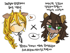 엘레오 드림 관계 타로