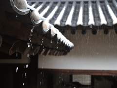 [국민] 여우색시. 7 (完)