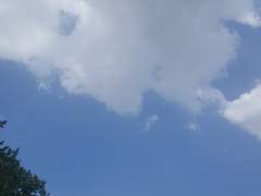 다정은 나의 무기