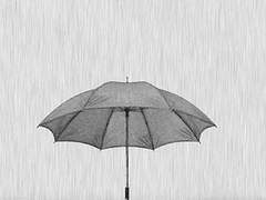 우리 안의 부재