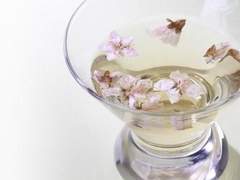 겨울 매화: scene 2