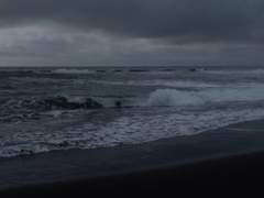 [凯尔&金绿秀]哈里斯夜谈