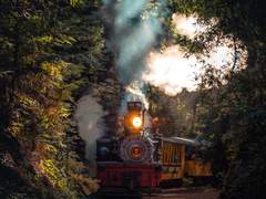 [홍적] 헝거게임 1