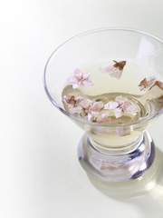 GLORY: 𝙻𝚒𝚏𝚎𝚕𝚘𝚗𝚐 𝚕𝚘𝚟𝚎