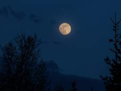 [국난] Red Riding Hood (중)