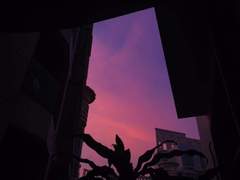 우리의 밤은 날개를 피었다.