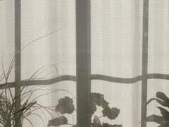 흔들리는 커튼 속에서