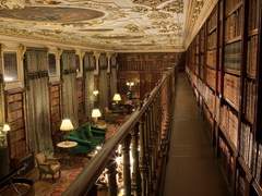 _1 ᯽장미의 저택