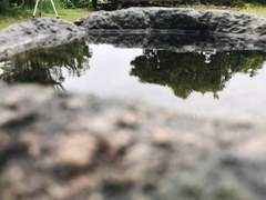 【27】 녹물 마시면 철 드는 거 아냐