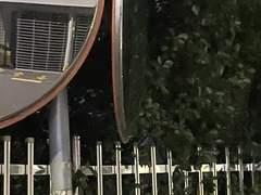 나를 정말 사랑했구나 그래서 그런 거지