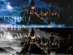 센티넬 인 더 호그와트 35 36 37