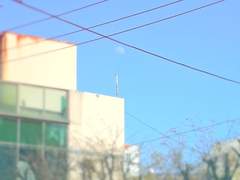 쌍방 멍청이들의 로맨스 코미디