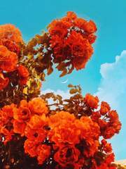 만날 때에 떠날 것을 염려하는 것과 같이