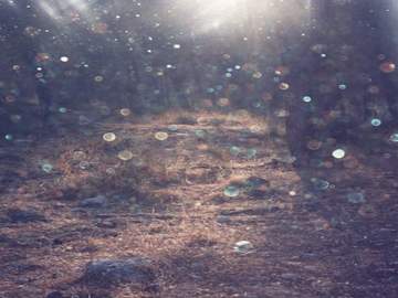 리듬솔’s 블로그