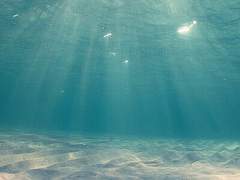 차가운 온기를 기록하는 법