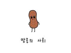 후르츠 소사이어티 5