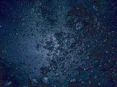 네가 모든걸 부수고, 망가뜨렸어.