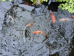 [답초/연만] 초상화