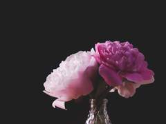 다화 고등학교 [ 보물찾기 ]