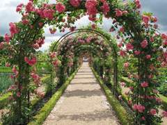 세상에서 제일 아름다운 화원