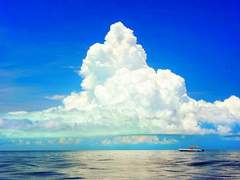 Lucky I'm in love with my best friend