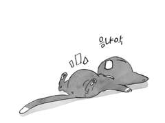 유진른 트위터 log12