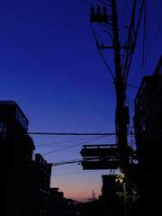 한 여름밤의 추억