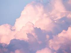 애써 문을 닫아둔 건