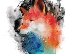 [하이큐 드림]애호가(愛狐嫁) -5-