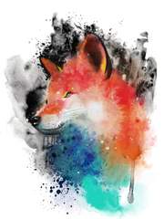 애호가(愛狐嫁)