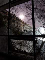 공공즈 논알페스 호러물