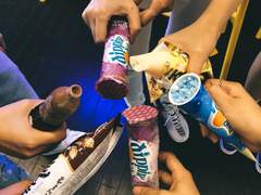 장차, 남돌의 여정 (上)