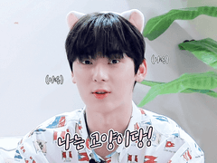 너는 고양이, 내가 주인! B