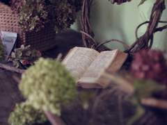 백망되/ 구세즈 트위터썰 백업